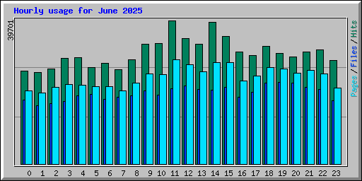 Hourly usage for June 2025